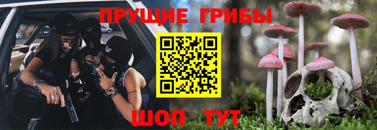Псилоцибиновые грибы Psilocybe  Галлюциногенные грибы Cubensis  Королёв  Вход с VPN 