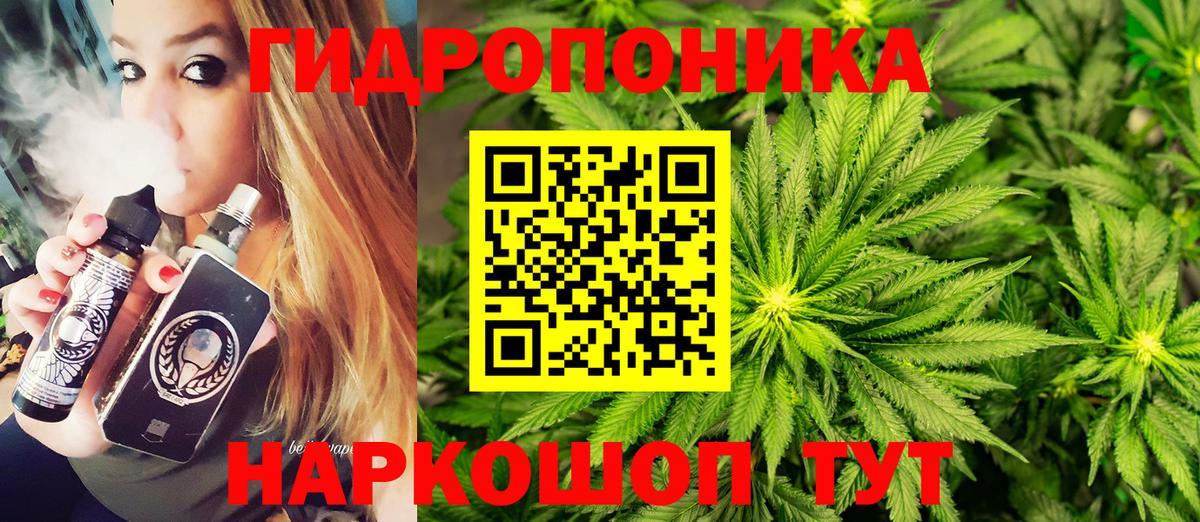 Шишки марихуана Ganja  Вход с VPN  Шишки марихуана марихуана  Марихуана Bruce Banner  Бошки Шишки тримм  Королёв 